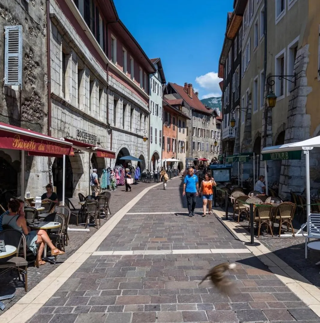 Le Sainte Claire - T2 En Vieille Ville Annecy Apartment